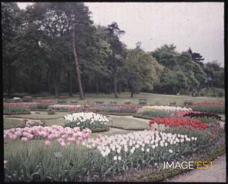 Parterres de fleurs (Paris)